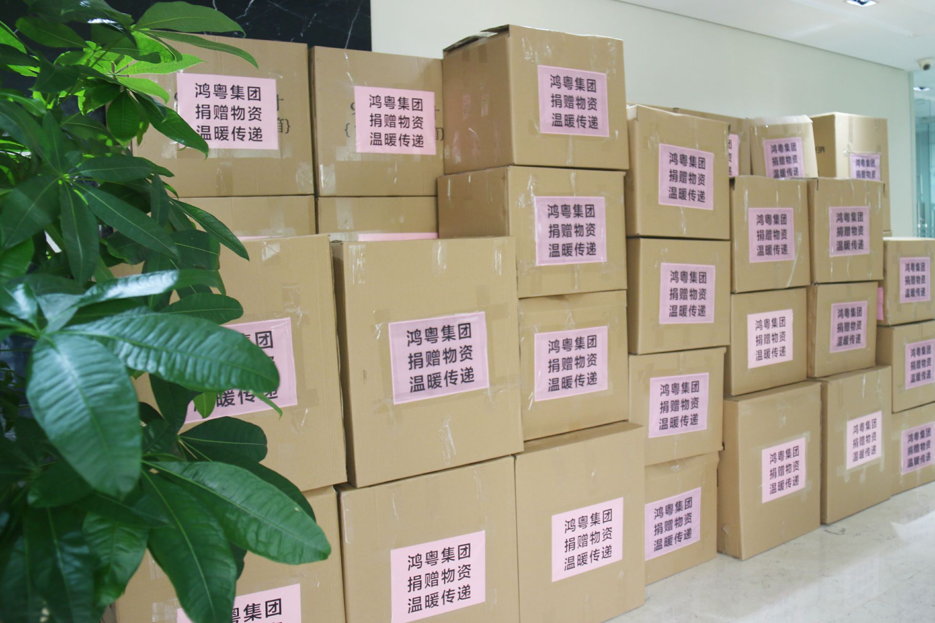 广州宜晨文化艺术展览有限公司公益回顾丨家国同欢月同圆 温暖满载甘孜州(图1)